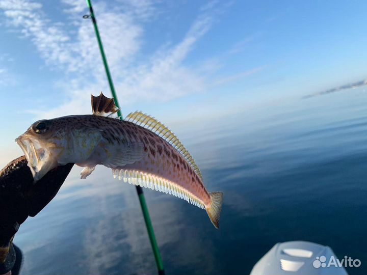 Морская прогулка рыбалка