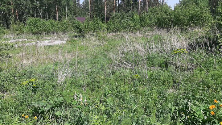 Участок 10 сот. (ИЖС)