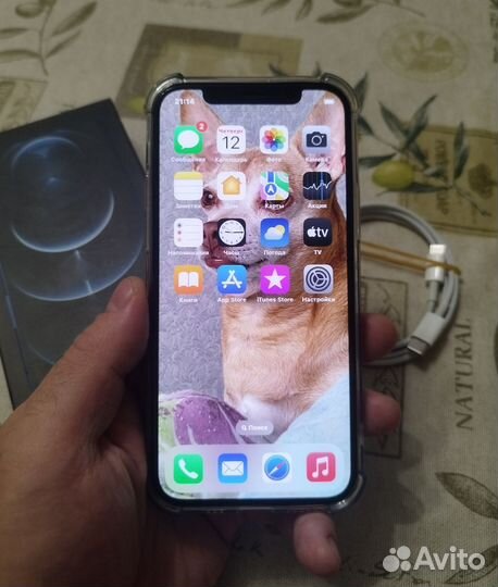 iPhone 12 Pro, 256 ГБ
