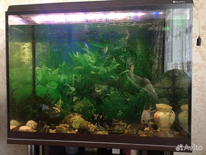 Аквариум с тумбой