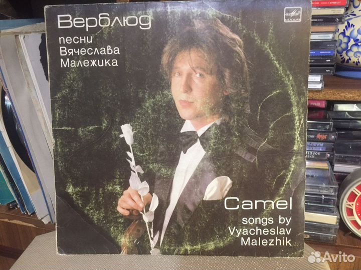 Песни Вячеслава Малежика пластинка СССР