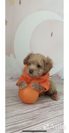 Фотофон детский интерьер