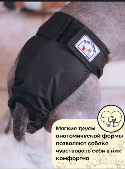 Трусы для собак