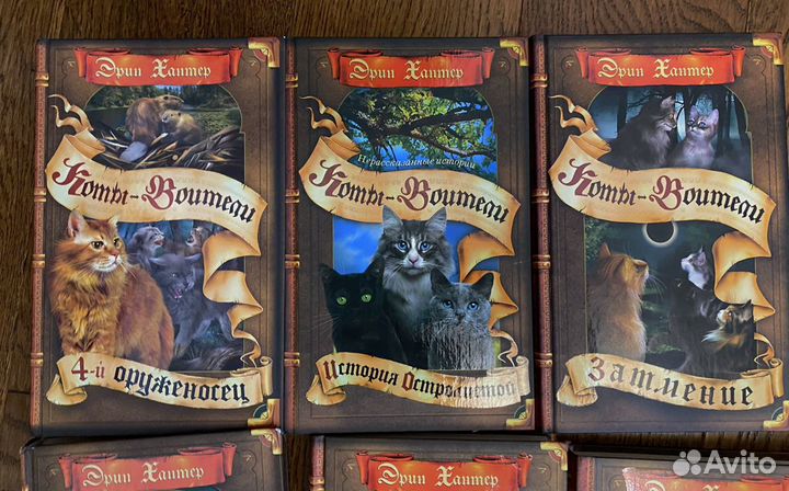 Коты-воители