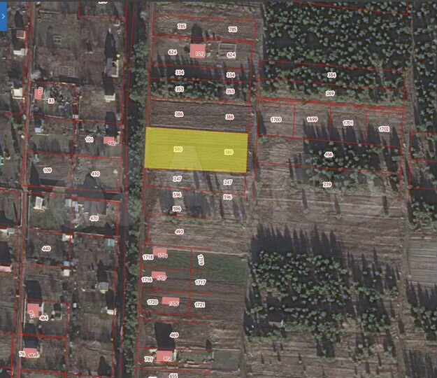 Участок 29,9 сот. (ИЖС)