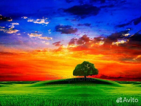 Картина по номерам 40x50 Пейзаж с неимоверным зака