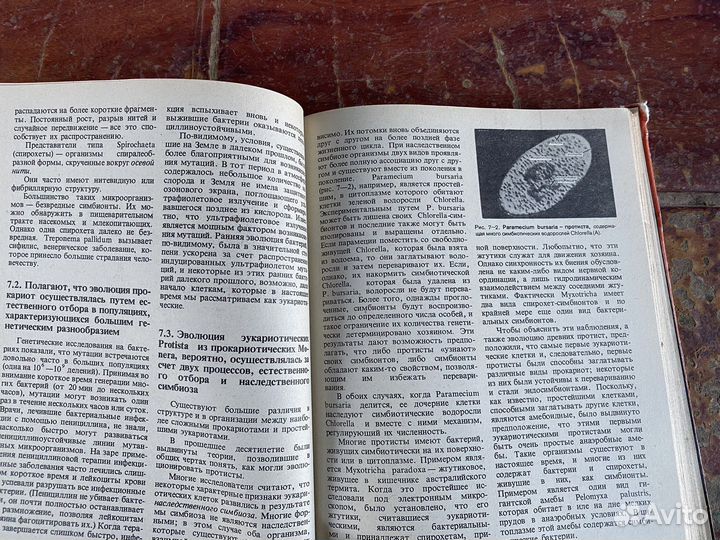 Наука о жизни книга 1981 год