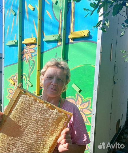 Пчелопавильон кассетный 