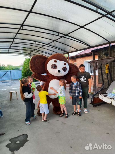 Большой белый медведь, аэрокостюм