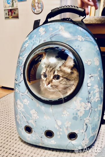 Переноска для животных