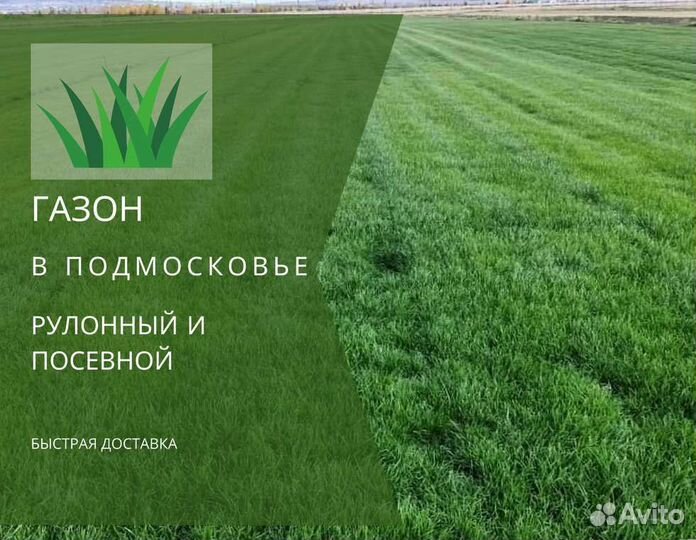 Газон. Газон рулонный, газон посевной