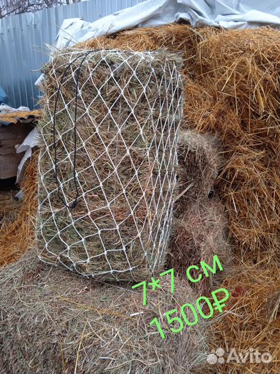 Рептух (медленные кормушки)