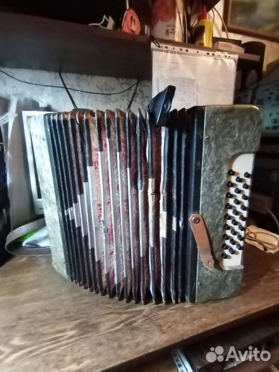 Гармонь ганинская