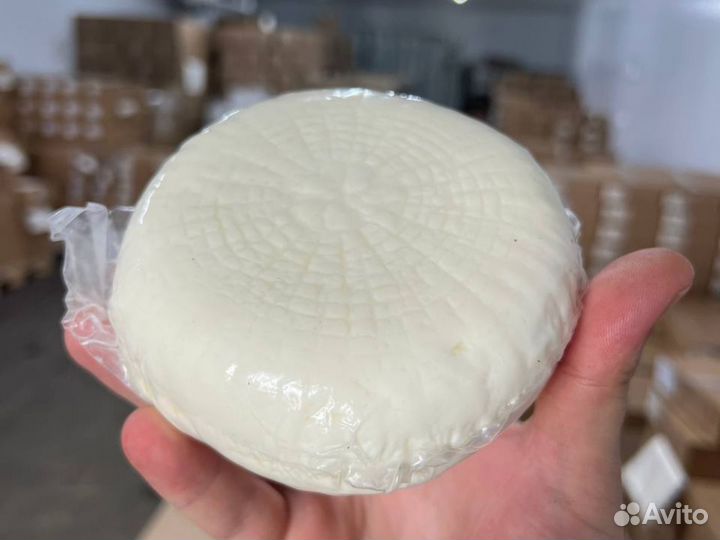 Сыры адыгейские оптом