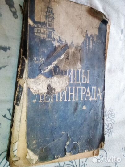 Улицы Ленинграда, 1989 год