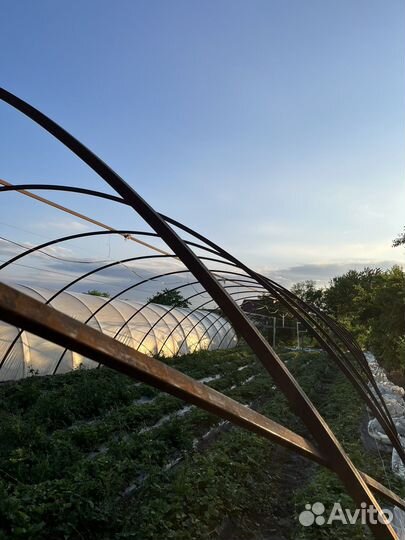 Теплица бу дуги