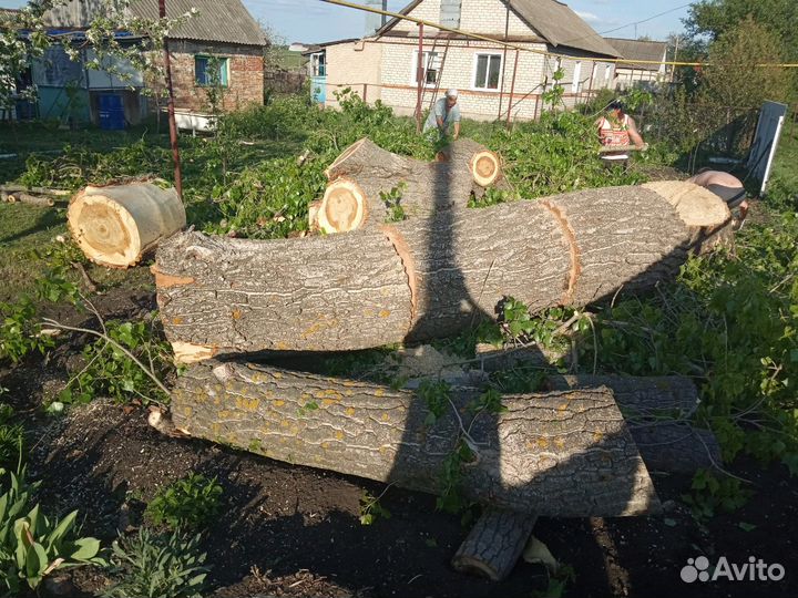 Спиливание(Спил) деревьев.Расчистка участка