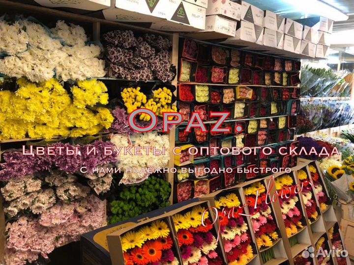 Цветы 101 роза 70см Цветы букеты с доставкой