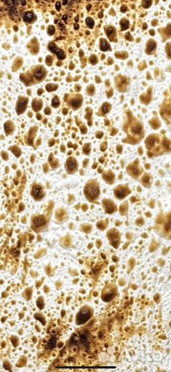 Действующая пекарня