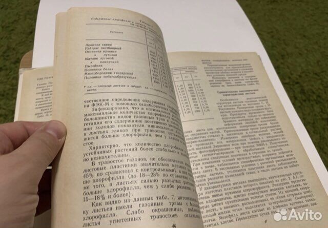 Газоны: Научные основы интродукции и использования