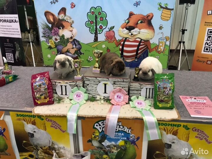 Крольчата маленькие