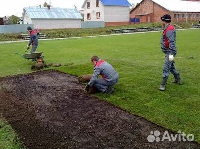 Газон рулонный