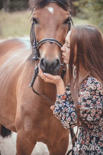 Прокат на лошадях,прогулка по лесу с детьми