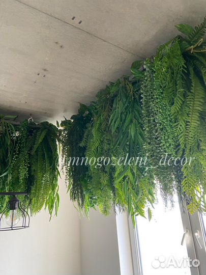 Ампельные (свисающие) растения, подвесные сады