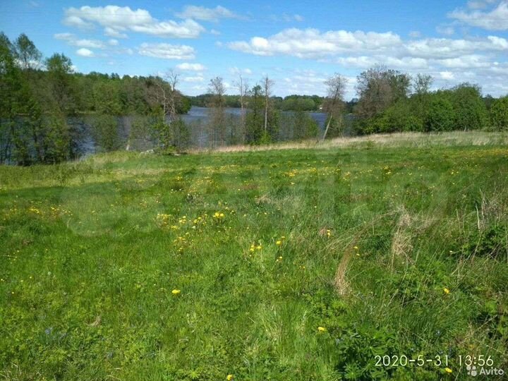 Участок 18,5 сот. (ИЖС)