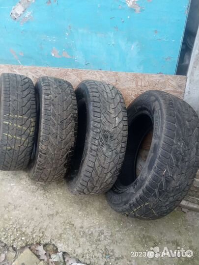 Tigar Winter 205/65 R15 94T