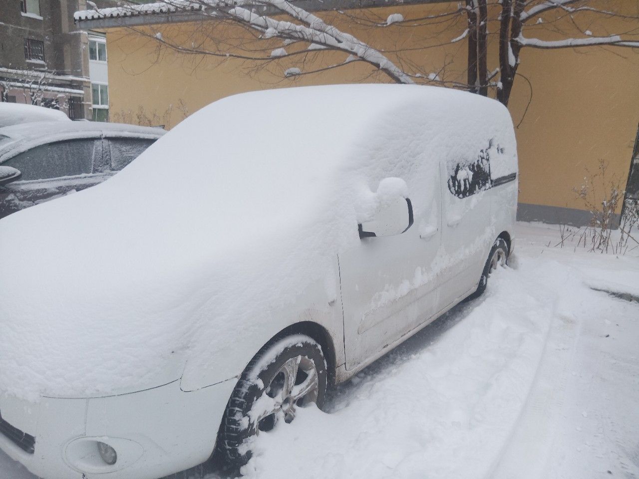 Citroen Berlingo: фото из отзыва