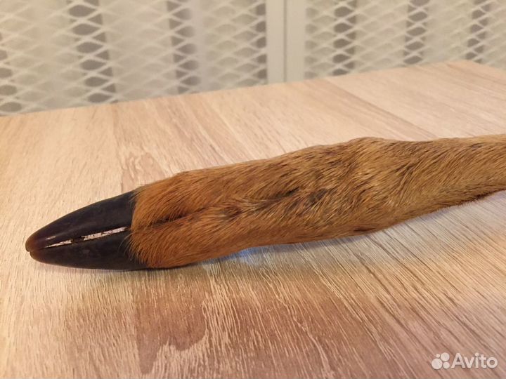 Козья ножка