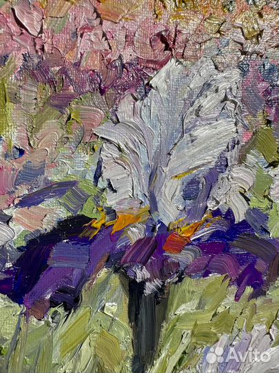 Картина маслом. Ирисы. Никитский Ботанический Сад