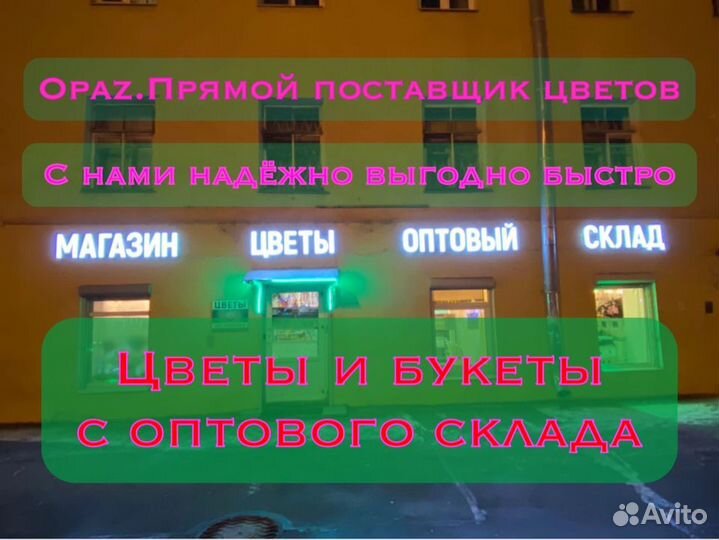 Цветы оптом Альстромерия