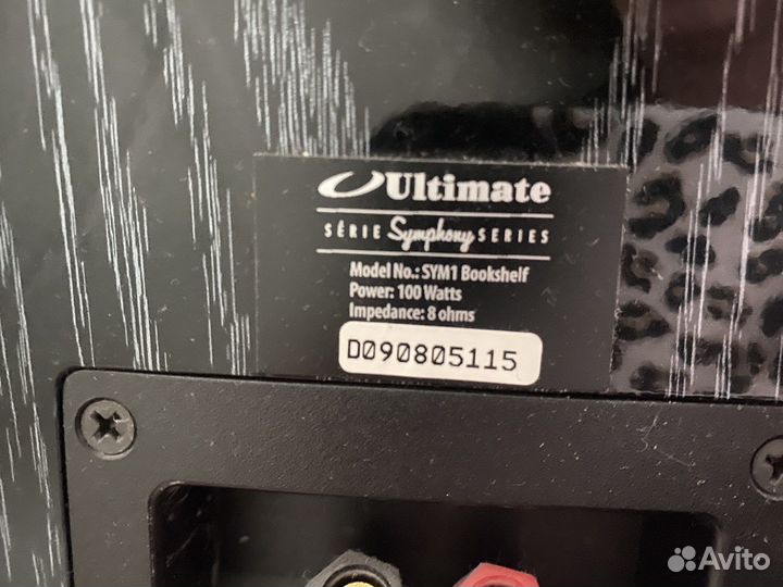 Колонки Ultimate SYM1