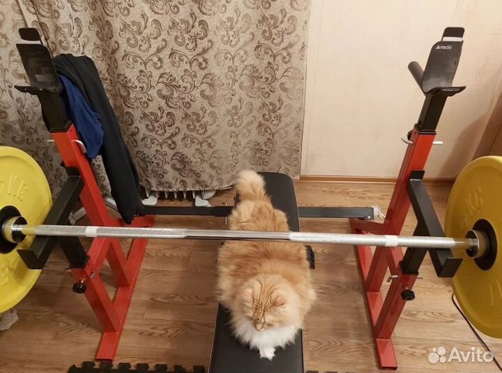 Стойка + скамья жима силовой комплект набор новый