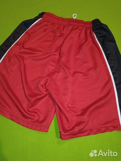 Шорты спортивные Proteam m Ирландия мужские