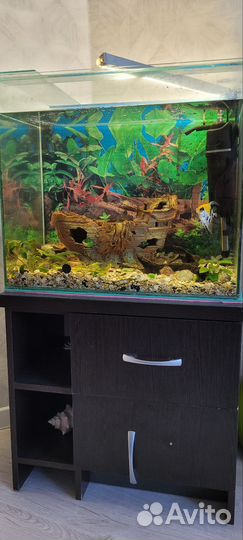 Аквариум