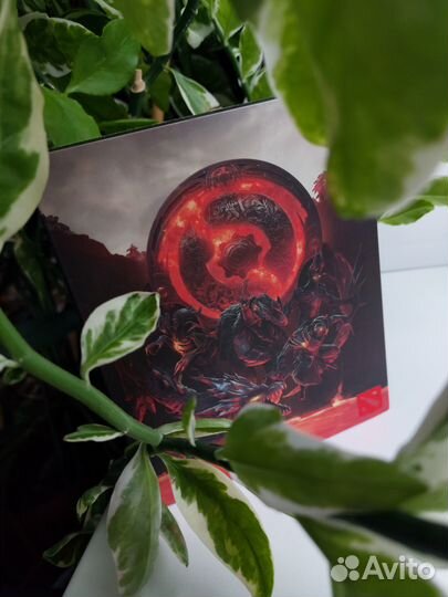 Dota 2 Aegis 2022 Аегис Дота 2 Эгида