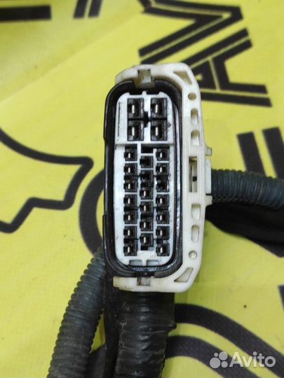 Проводка под капот Lexus Gs350 GRS191 2GR-FSE 2005