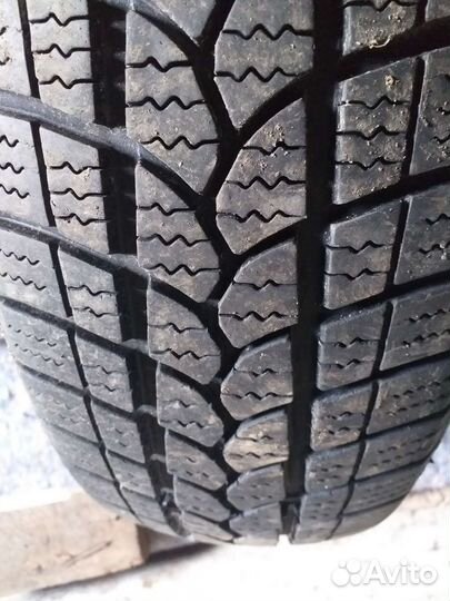 Tigar Winter 175/70 R14