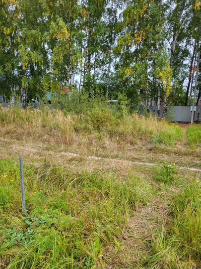 Участок 7 сот. (СНТ, ДНП)