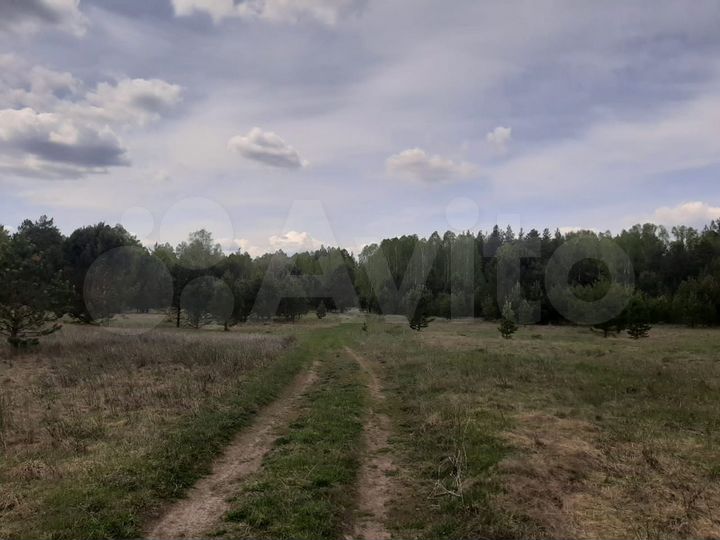 Участок 10 сот. (СНТ, ДНП)