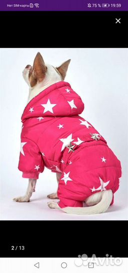 Комбинезон для собак