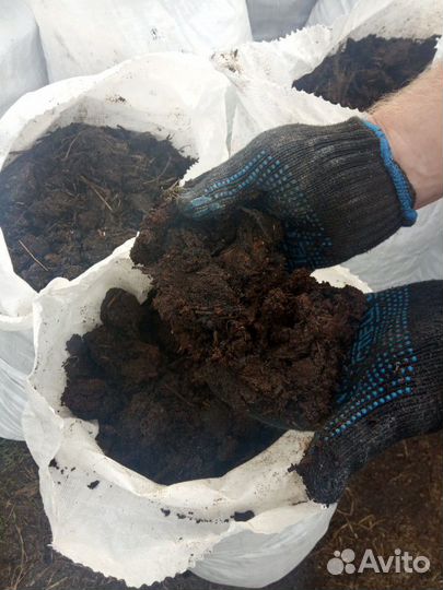 Перегной - навоз