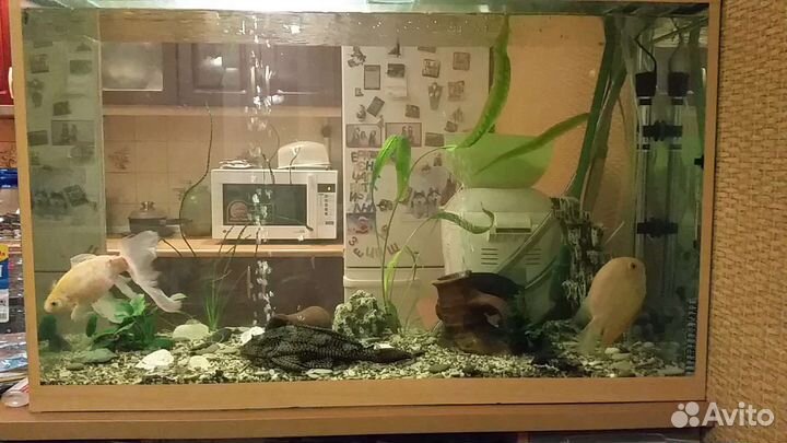 Аквариум