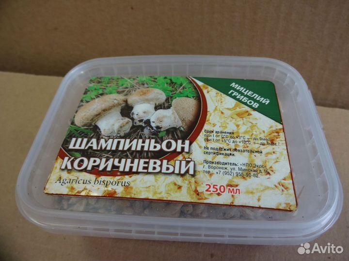 Мицелий грибов