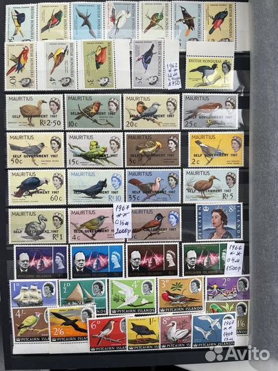 Флора,фауна