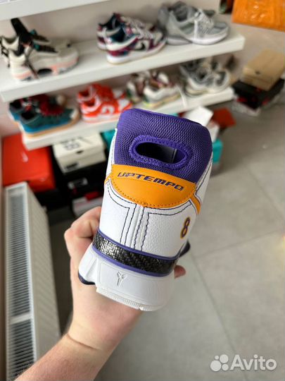 Nike kobe protro 1