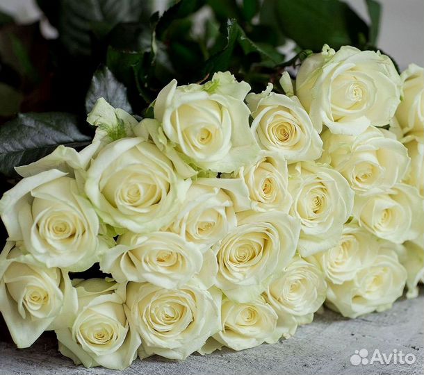 Букет роз 101 роза 51 роза